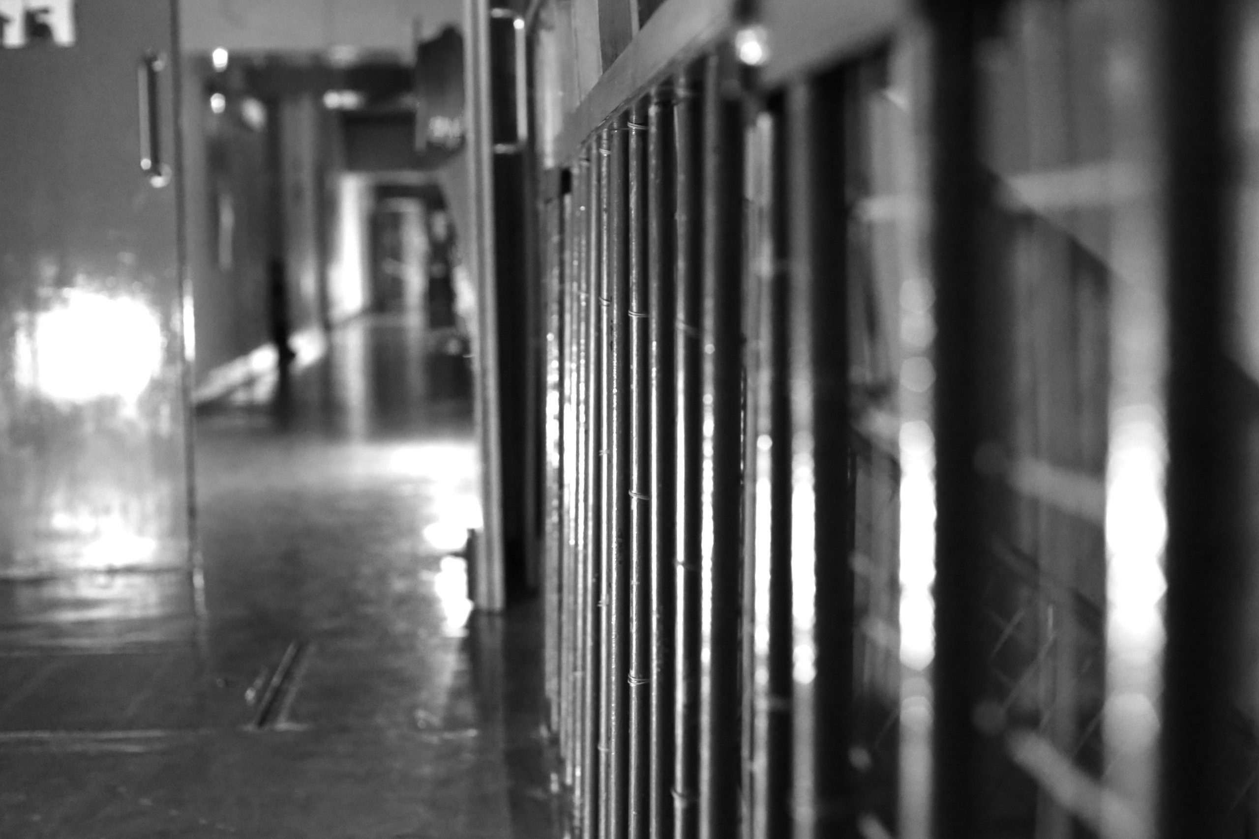 TheSecretBunker-PaulTeague19