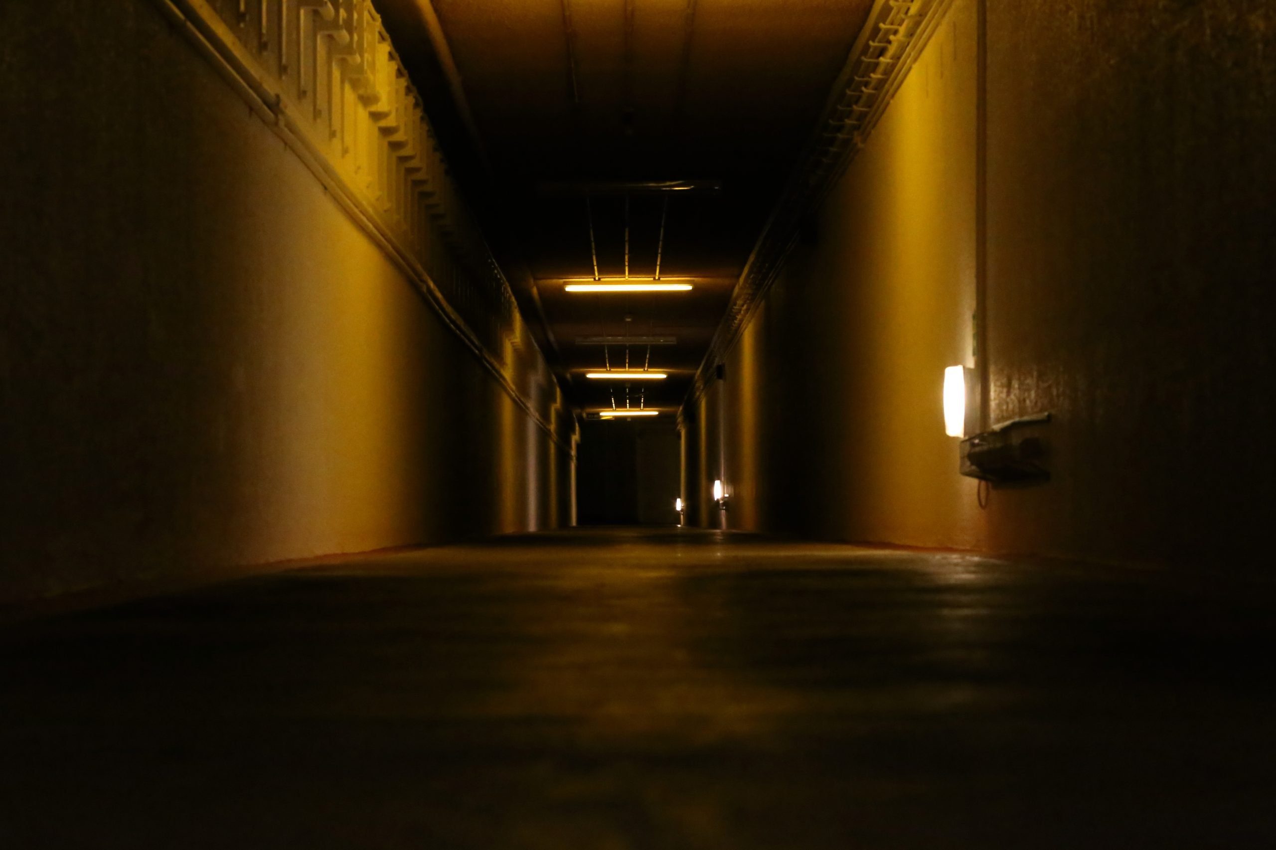 TheSecretBunker-PaulTeague8